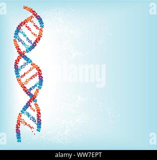 DNA molecule vector background.  Medical science abstract model illustration. Stock Vector