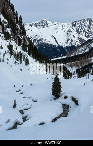 Austria, Tyrol, St. Sigmund in Sellrain, view to the snowy Gleirschtal Stock Photo