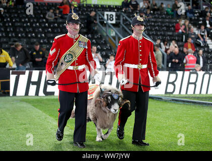 derby county ram picture clipart