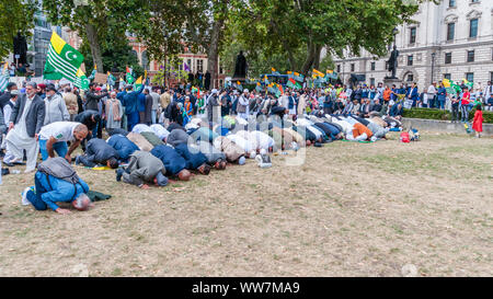 London, England, UK. September 03, 2019: Crowds gather in parliament square garden to protest violent beatings and even torture in Indian-administered Stock Photo