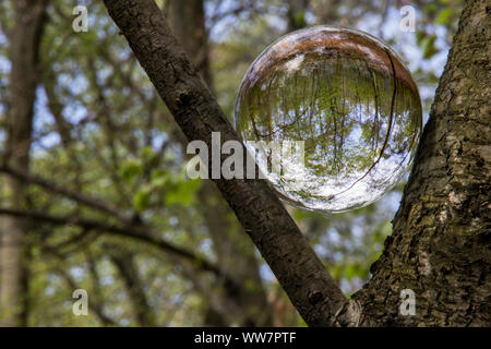 Glaskugel im Wald Stock Photo