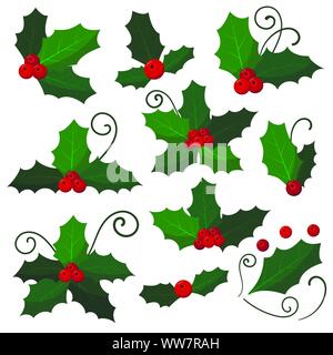 Set mistletoe branch isolated on white background. Stock Vector