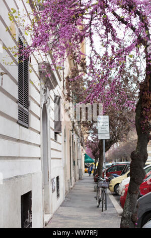 Italy, Rome, view on a path in Rome near Vatican City State Stock Photo