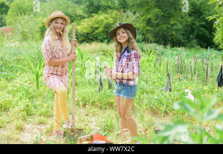 Sisters together helping at farm. Girls planting plants. Rustic children working in garden. Planting and watering. Planting vegetables. Agriculture concept. Growing vegetables. Hope for nice harvest. Stock Photo