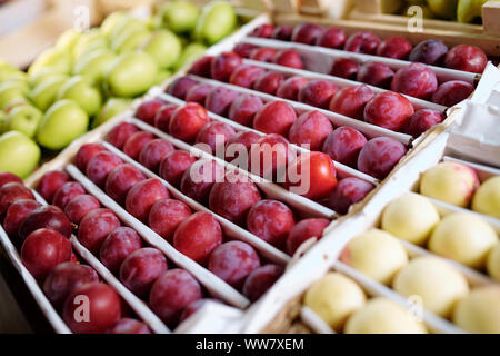 Several rows of fresh ripe plums between peaches and green apples Stock Photo