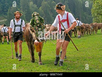 Herdsmen with wreath cow on the Scheidplatz at the Renksteg during Almabtrieb in Oberstdorf, AllgÃ¤u, Swabia, Bavaria, Germany Stock Photo
