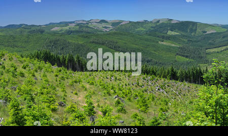 Clearcuts cover the mountains of the Coast Range, west of Myrtle Creek, Oregon. Stock Photo
