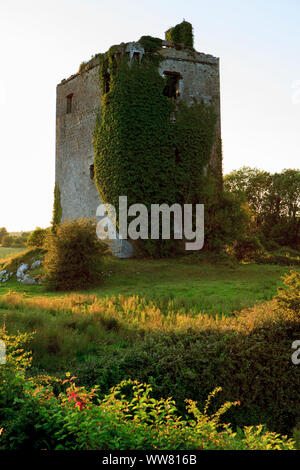 Old castle ruins in Limerick, Ireland Stock Photo