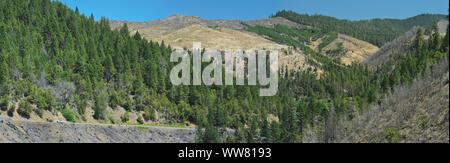 A panoramic view of wildfire damage in clearcuts, Coast Range west of Myrtle Creek, Oregon Stock Photo