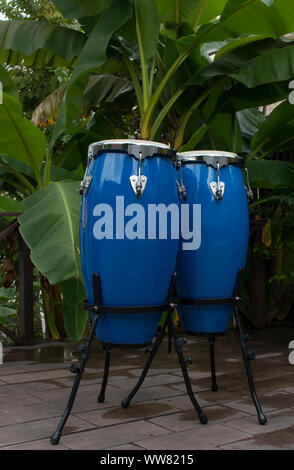 two congas in front on a background of palm trees Stock Photo