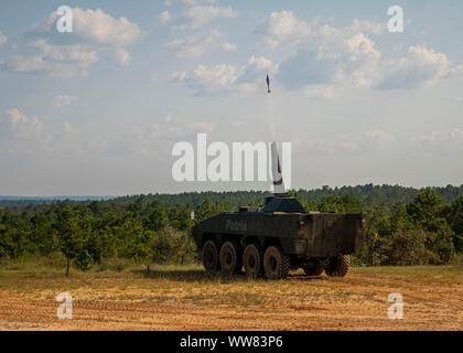 FORT BENNING, Ga. -- Spectators gather to watch the Patria Nemo 120-mm mortar turret demonstration Sept. 11, 2019, at Red Cloud Range on post. (U.S. Army photo by Patrick A. Albright, Maneuver Center of Excellence, Fort Benning Public Affairs) Stock Photo