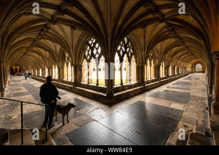 Man and dog standing at the intersection of two sides of a square of cloisters at Norwich Cathedral showing the intricate wood beamed ceilings. Stock Photo