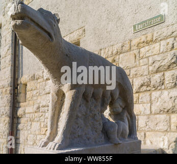 Historical old town of Brugg in the Canton of Aargau, Romulus and Remus Stock Photo