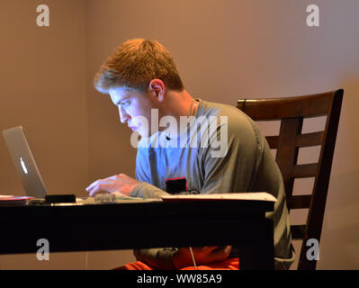 College student doing homework on laptop computer. Stock Photo