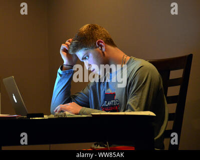 College student doing homework on laptop computer. Stock Photo