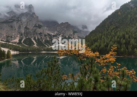 Autumn hike around the Pragser Wildsee in the Dolomites, Italy, view towards Seekofel Stock Photo