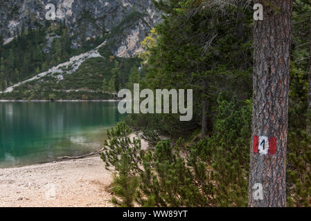 Autumn hike around the Pragser Wildsee in the Dolomites, Italy, hiking trail Stock Photo