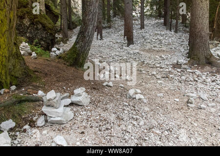 Autumn hike around the Pragser Wildsee in the Dolomites, Italy, trees in rock scree Stock Photo