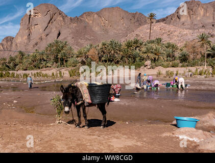 OURZAZATE, MOROCCO - JAN 2019: Berber women wash clothes in the river in beautiful picturesque place Oasis de Fint. Water day poor Moroccan tribes Stock Photo