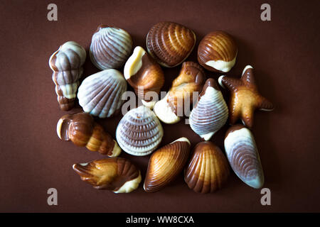 Assorted Chocolate pralines with sea concept on brown background. Copy space. Stock Photo