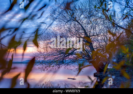 MÃ¶hnetalsperre, Moehne Reservoir in Wamel, Willow tree leaning over lake, late fall at sunset looking across reservoir towards Wamel bridge, Kreis Soest, North Rhine Westphalia, Stock Photo