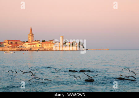 Porec, old town coast view with seagulls flying over the sea, Istria, Croatia Stock Photo