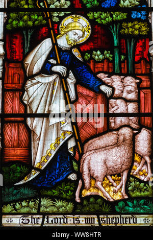 England, East Sussex, Rye, The Parish Church of St.Mary, The Good Shepherd Window depicting Christ as a Shepherd Stock Photo