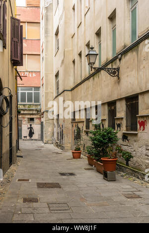 Street art in the old city centre of Albenga in Liguria, Italy Stock Photo