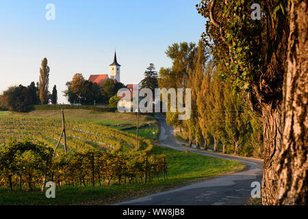 Jeruzalem, church, vineyard, wine growing area, hills, farm houses in Jeruzalem-Ormoz Hills Nature Park, Stajerska (Styria), Slovenia Stock Photo