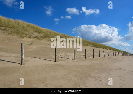 Sand dune with beach grass on the beach, Noordwijk aan Zee, North sea, South Holland, Netherlands Stock Photo