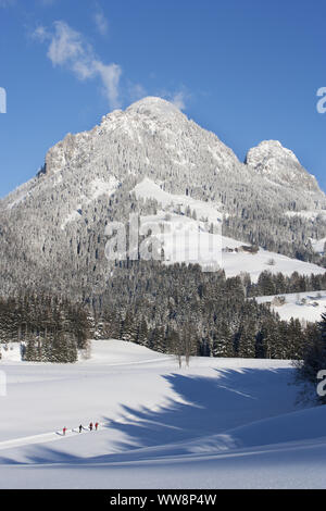 Snow-covered winter landscape and cross country skiing trails, near Tauplitz, Salzkammergut region, Styria, Austria Stock Photo