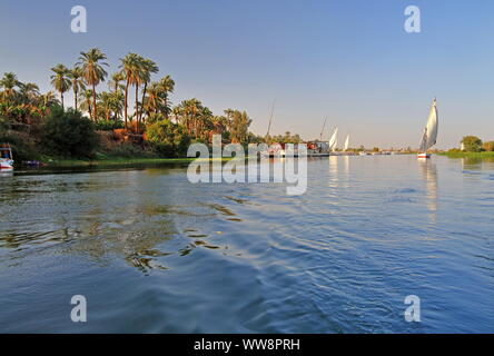 River landscape with sailing boat, felucca on the Nile, Luxor, Upper Egypt, Egypt Stock Photo