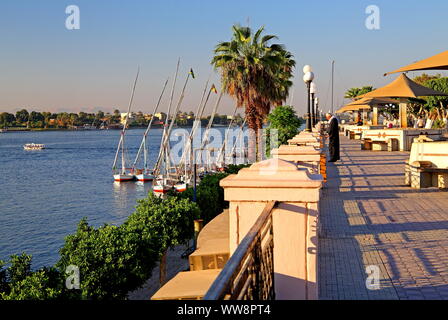 Promenade along the banks of the Nile, Luxor, Upper Egypt, Egypt Stock Photo