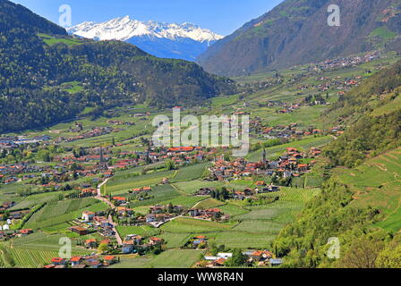 Local overview in the orchards against Vinschgau, Algund near Meran, Etschtal, Burggrafenamt, South Tyrol, Italy Stock Photo