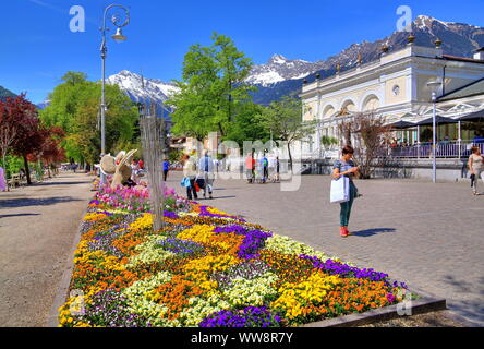 Flowerbeds on the Kurpromenade at the Passer, Merano, Etschtal, Burggrafenamt, South Tyrol, Italy Stock Photo