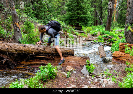 Avalanche fallen tree debris with man crossing river on Conundrum Creek Trail in Aspen, Colorado in 2019 summer climbing over tree Stock Photo