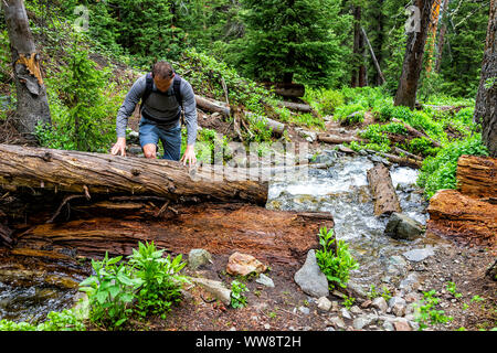 Avalanche debris fallen tree with man crossing river on Conundrum Creek Trail in Aspen, Colorado in 2019 summer climbing over tree Stock Photo