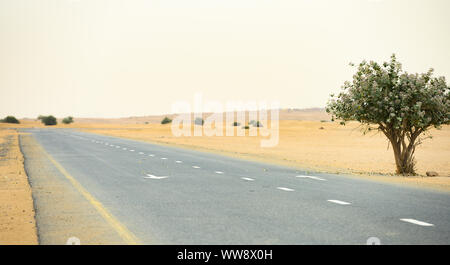 (Selective focus) Stunning view of a deserted road covered by sand dunes. Empty road that run through the Dubai desert during sunset. Dubai, UAE. Stock Photo