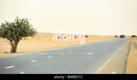 (Selective focus) Stunning view of a deserted road covered by sand dunes. Empty road that run through the Dubai desert during sunset. Dubai, UAE. Stock Photo