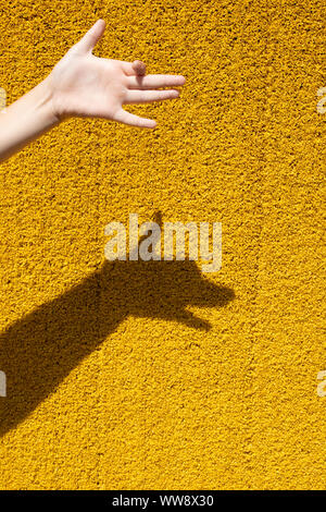 children's hand shows a dog, its shadow on the wall Stock Photo