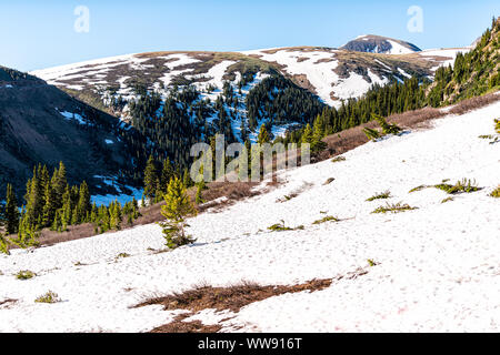 Snow mountains view and pine trees snow meadow at Linkins Lake trail on Independence Pass in rocky mountains near Aspen, Colorado in early summer of 2 Stock Photo