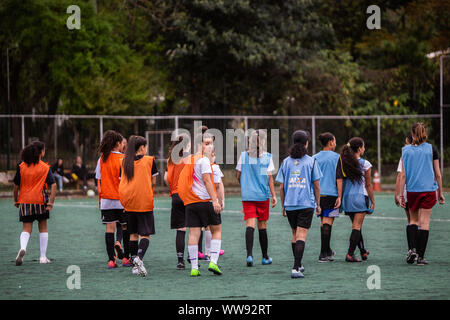 Free feminino cheap 2019