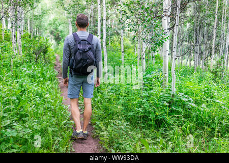 Aspen trees and wildflowers in morning in summer with back of man hiking on Snowmass Lake hike trail in Colorado in National Forest park Stock Photo