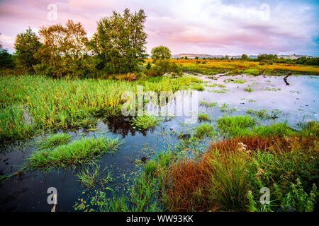 Beautiful Cors Caron National Nature Reserve near Tregaron in mid-Wales Stock Photo