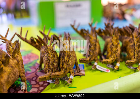 Jensen, USA - July 23, 2019: Quarry visitor center store in Dinosaur National Monument Park outside with toys on sale in Utah Stock Photo