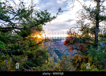 Tree framing view of sunset from Canyon Rim Campground in Flaming Gorge Utah National Park of Green River overlook in dark evening Stock Photo