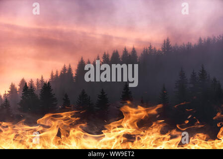 Conceptual picture of forest fire in red and orange color and clouds of dark smoke in pine stands. Flames in foreground Stock Photo