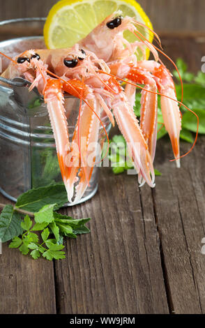 Raw langoustine in a bucket with herbs on wood Stock Photo