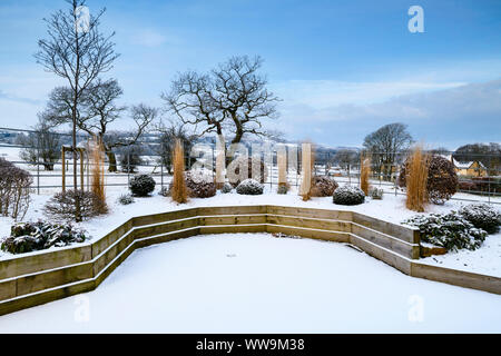 Stylish, contemporary design, landscaping & planting on wooden raised bed (topiary & grasses) - snow covered winter garden, Yorkshire, England, UK. Stock Photo