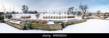 Stylish, contemporary design, landscaping & planting on wooden raised bed (topiary & grasses) - snow covered winter garden, Yorkshire, England, UK. Stock Photo